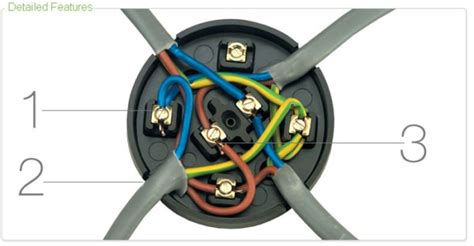 3 round junction box|junction box wiring identification.